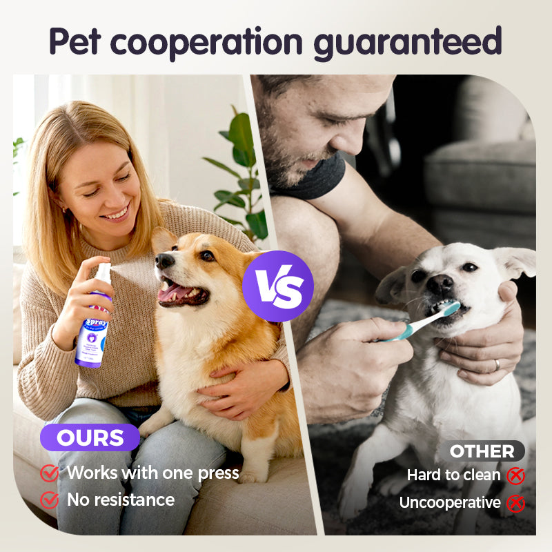 BioBrite™ Pet Dental Spray — Spark Irresistible Freshness and Endless Cuddles Every Day