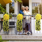 SilkaBloom™ — Transform Every Space with Effortless, Everlasting Orchid Elegance