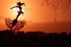 MystiBloom™ — Transform Your Garden into a Magical Sanctuary of Peace and Wonder
