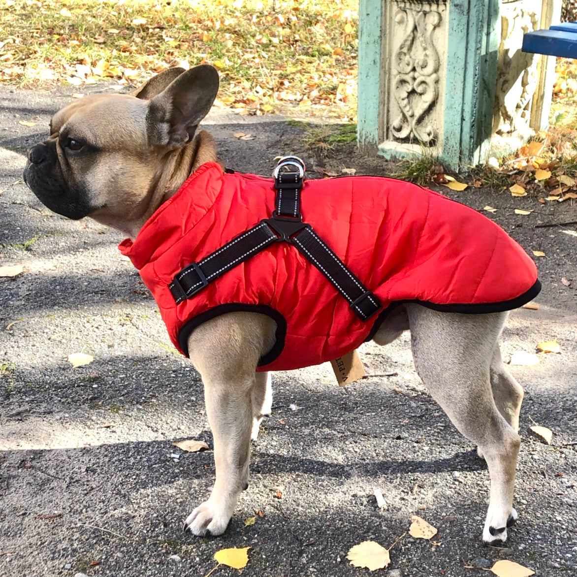 Dog Jacket | Wind & Water-Resistant | Integrated Harness & Reflective Trim