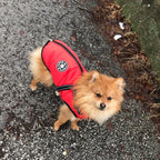 Dog Jacket | Wind & Water-Resistant | Integrated Harness & Reflective Trim