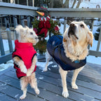 Dog Jacket | Wind & Water-Resistant | Integrated Harness & Reflective Trim