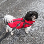 Dog Jacket | Wind & Water-Resistant | Integrated Harness & Reflective Trim